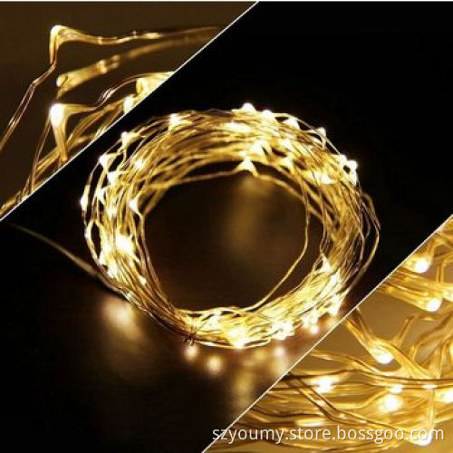 Waterproof 5M 50pcs LEDs, DC 12V, Silver Ccooper Wire LED String Light
